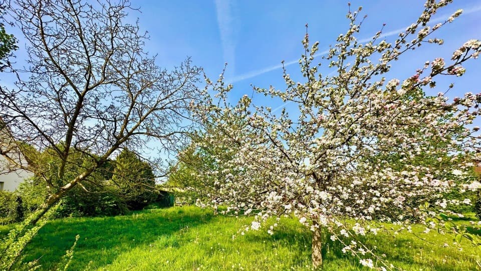 Terrain - Terrain à bâtir () à Verberie (60), prix 70 000 €