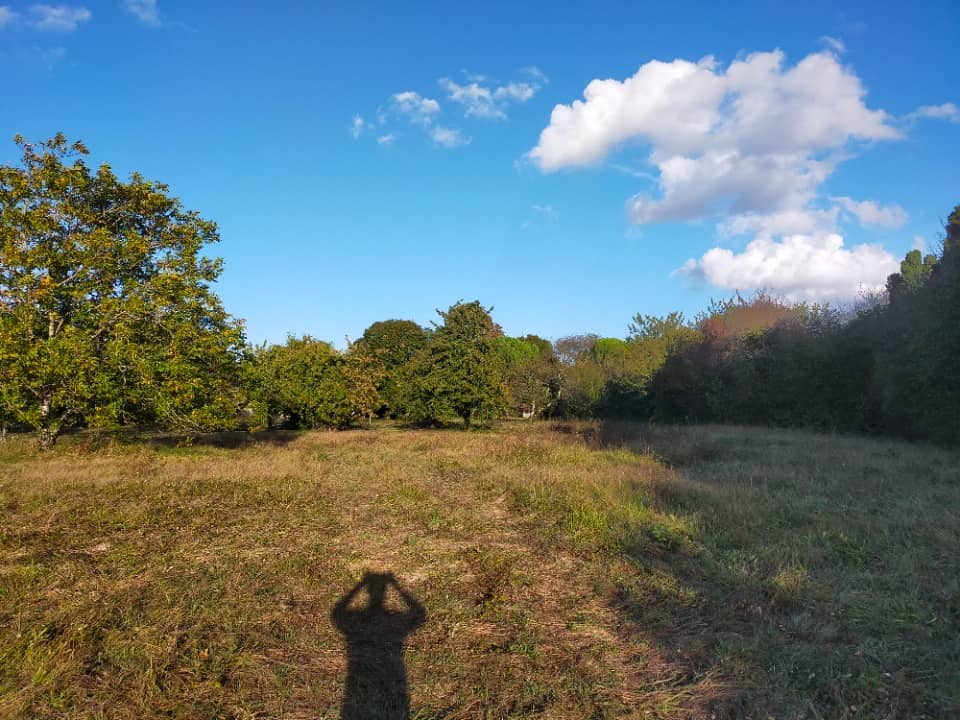 Terrain - Terrain à bâtir Les Métairies (16200) à Les Métairies, prix 27 000 €