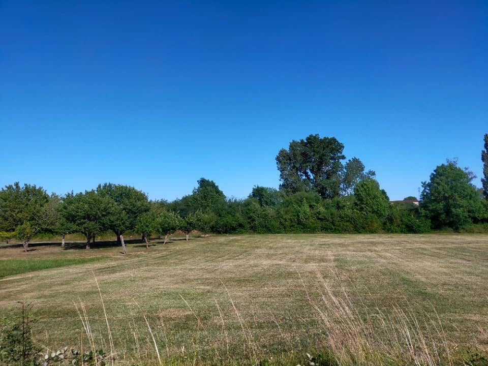 Terrain - Terrain à bâtir Chassors (16200) à Chassors (16), prix 45 000 €