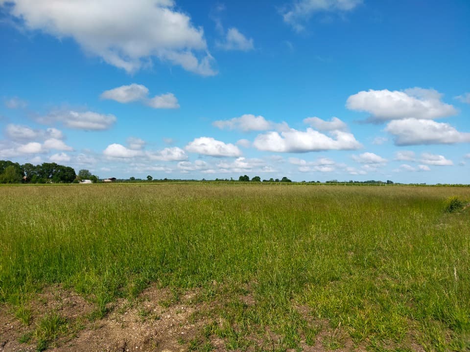 Terrain - Terrain à bâtir Jarnac-Champagne (17520) à Jarnac-Champagne (17), prix 24 000 €