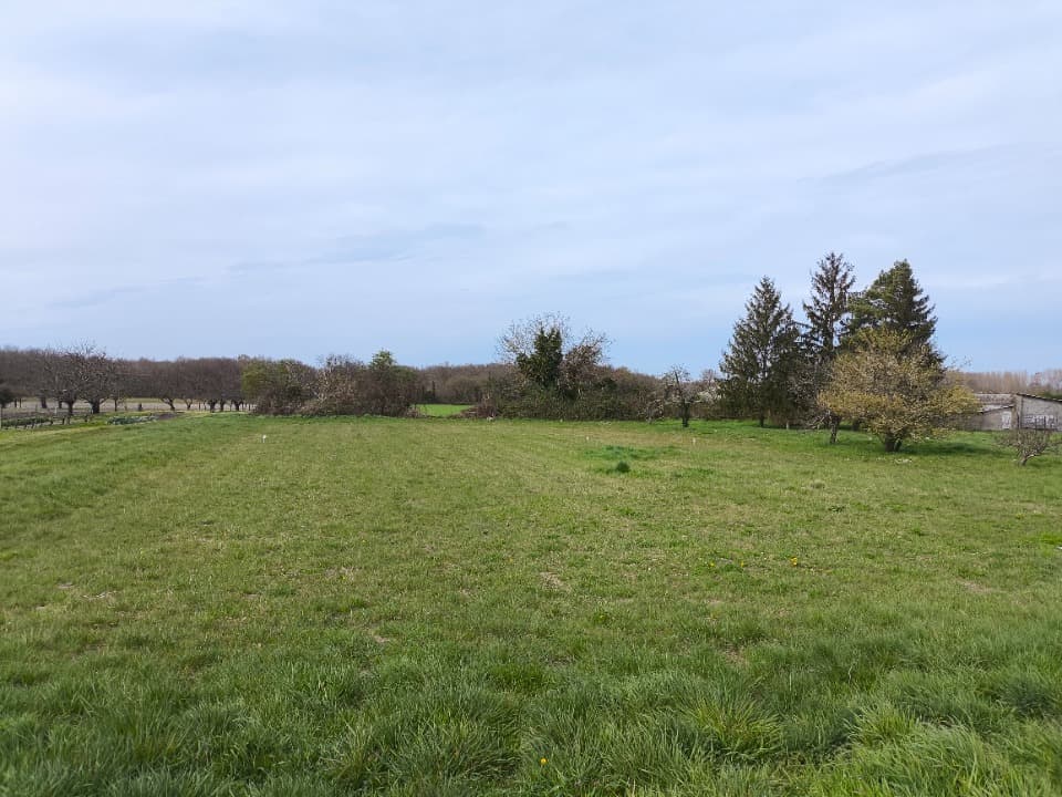 Terrain - Terrain à bâtir Celles (17520) à Celles (17), prix 18 000 €
