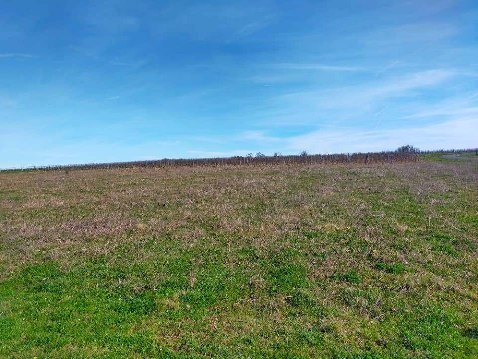 Terrain - Terrain à bâtir Lonzac (17520) à Lonzac, prix 26 000 €