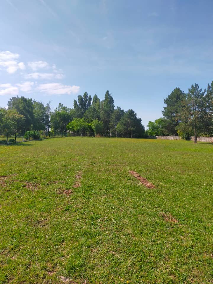 Terrain - Terrain à bâtir Boutiers-Saint-Trojan (16100) à Boutiers-Saint-Trojan, prix 49 500 €