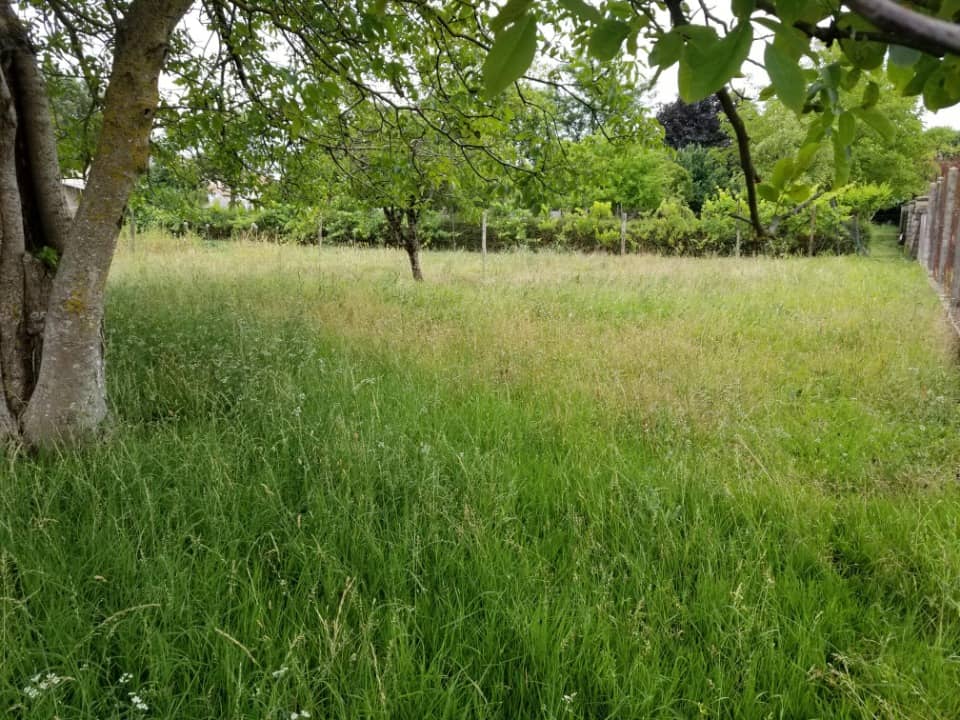 Terrain - Terrain à bâtir Barbezieux-Saint-Hilaire (16300) à Barbezieux-Saint-Hilaire (16), prix 34 500 €