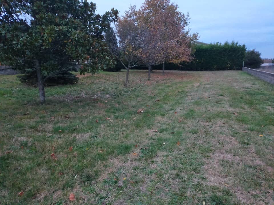 Terrain - Terrain à bâtir Angeac-Champagne (16130) à Angeac-Champagne (16), prix 45 000 €