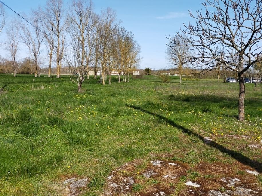 Terrain - Terrain à bâtir Houlette (16200) à Houlette (16), prix 29 900 €