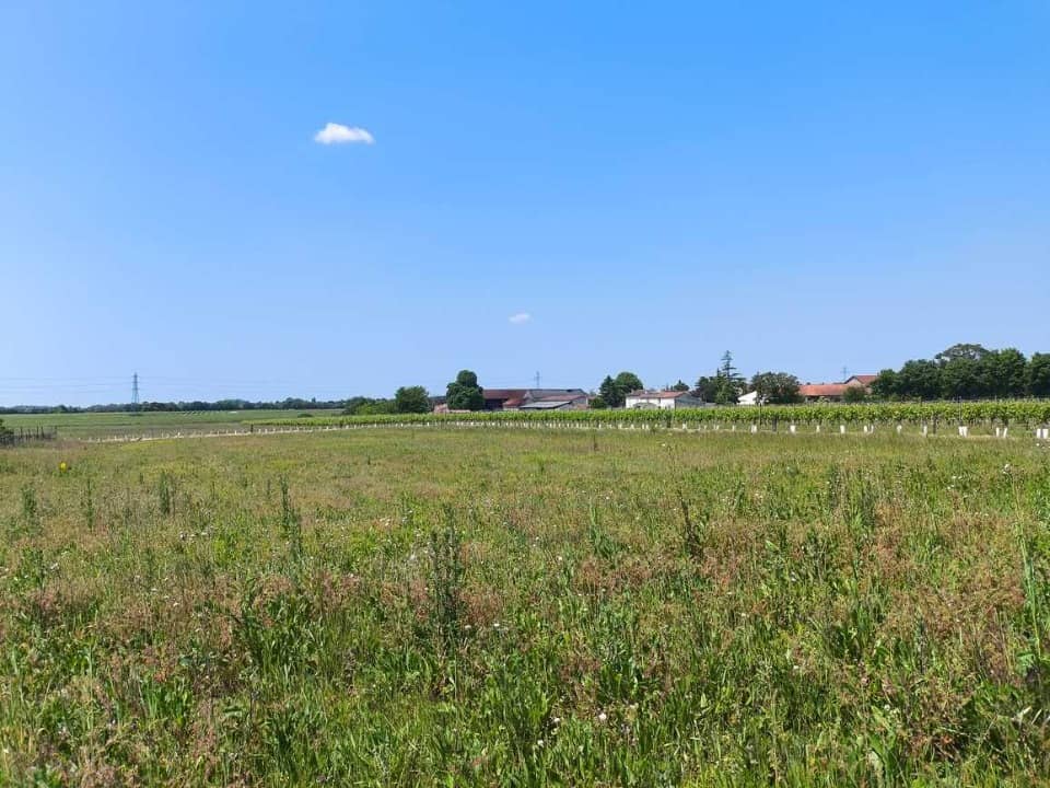 Terrain - Terrain à bâtir Saint-Simon (16120) à Saint-Simon (16), prix 23 000 €