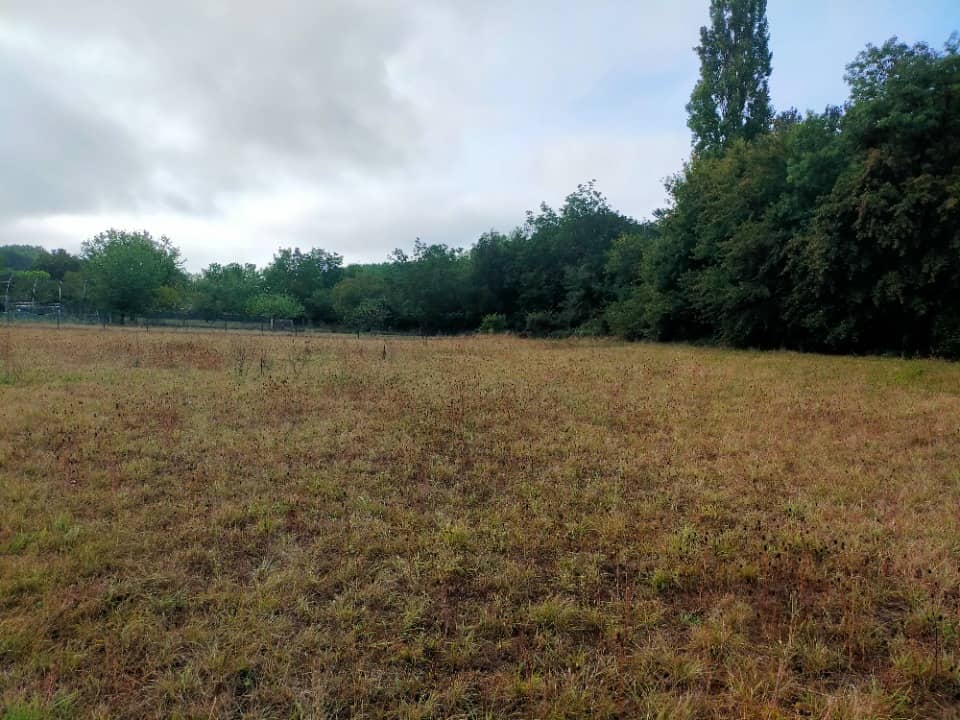 Terrain - Terrain à bâtir Saint-Sulpice-de-Cognac (16370) à Saint-Sulpice-de-Cognac, prix 48 000 €