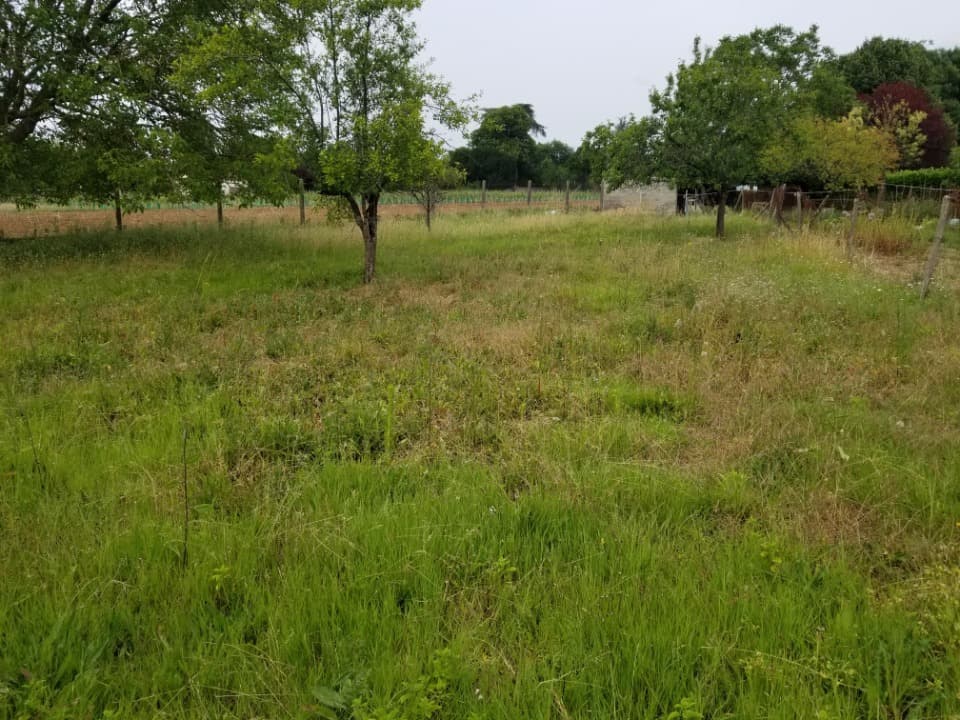 Terrain - Terrain à bâtir Juillac-le-Coq (16130) à Juillac-le-Coq (16), prix 39 000 €