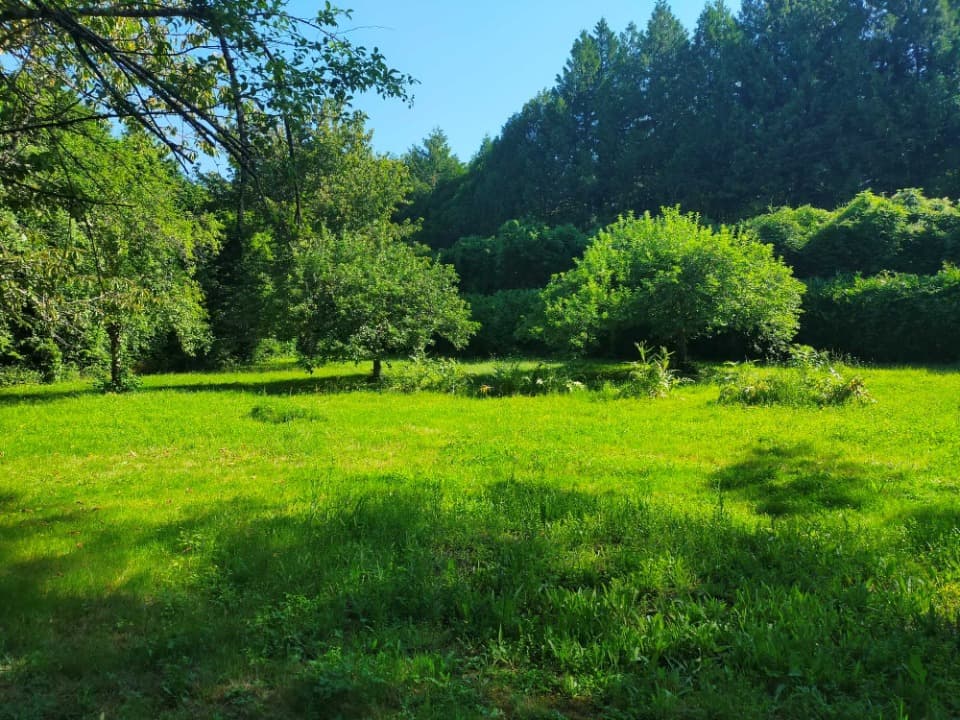 Terrain - Terrain à bâtir Javrezac (16100) à Javrezac (16), prix 80 000 €