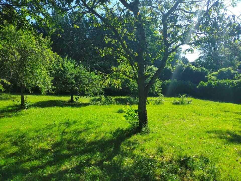 Terrain - Terrain à bâtir Javrezac (16100) à Javrezac (16), prix 40 000 €