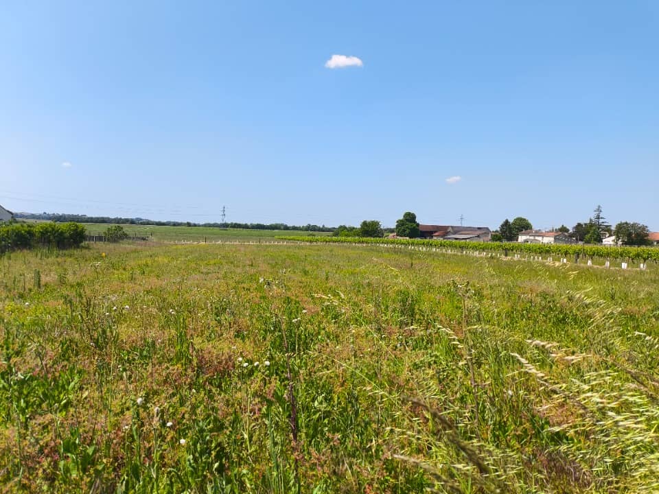 Terrain - Terrain à bâtir Sainte-Lheurine (17520) à Sainte-Lheurine (17), prix 15 000 €