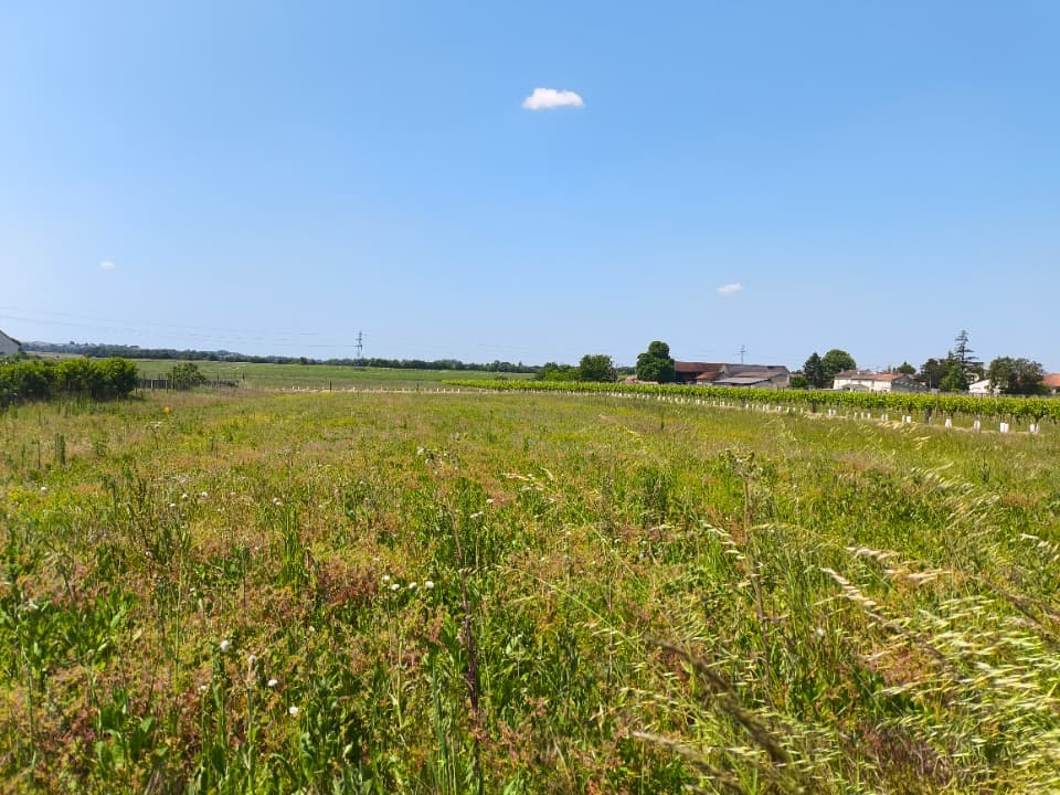 Terrain - Terrain à bâtir Sainte-Lheurine (17520) à Sainte-Lheurine (17), prix 15 000 €