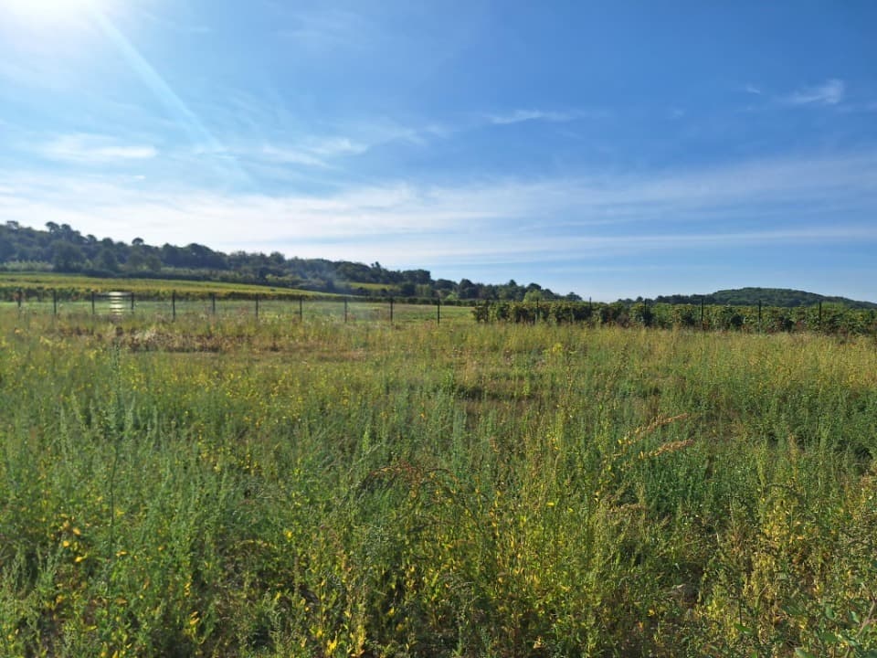 Terrain - Terrain à bâtir Pertuis (84120) à Pertuis (84), prix 139 000 €