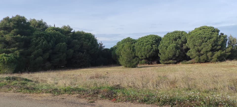 Terrain - Terrain à bâtir () à Agde (34), prix 275 000 €