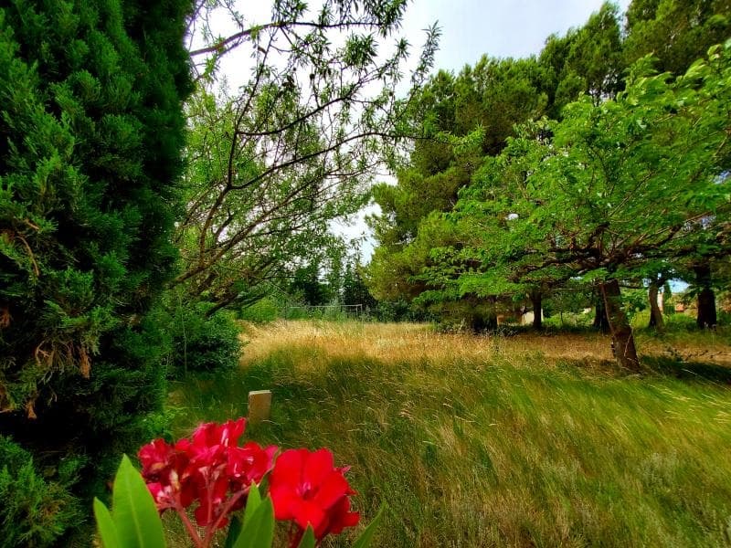 Terrain - Terrain à bâtir Sérignan (34410) à Sérignan (34), prix 237 000 €