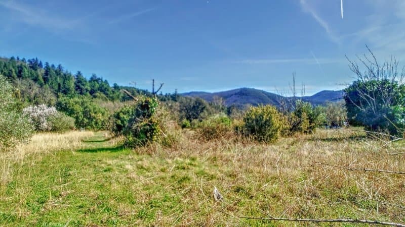 Terrain - Terrain à bâtir Saint-Vincent-d'Olargues (34390) à Saint-Vincent-d'Olargues (34), prix 89 000 €