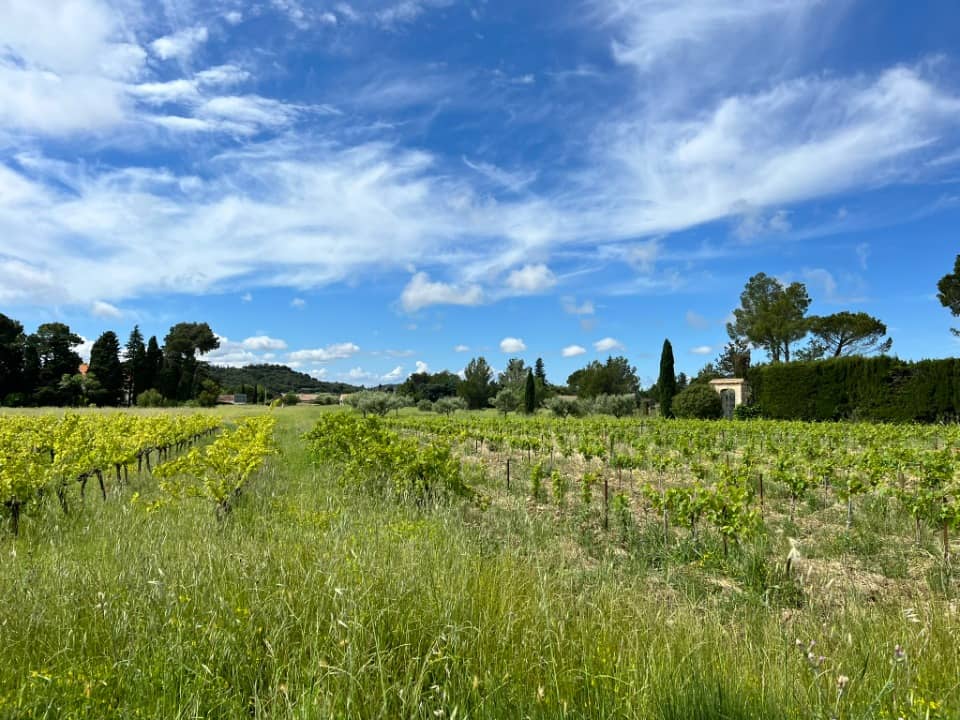 Terrain - Terrain à bâtir  () à Domazan, prix 119 900 €