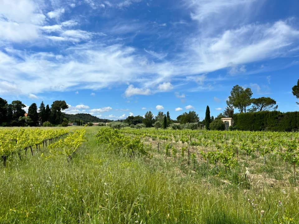 Terrain - Terrain à bâtir () à Domazan (30), prix 119 900 €