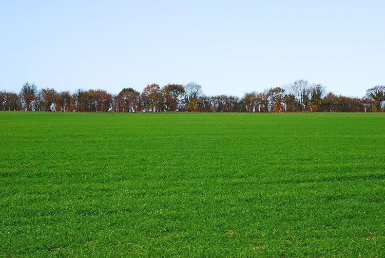 Terrain - Terrain à bâtir () à Bollène (84), prix 119 000 €