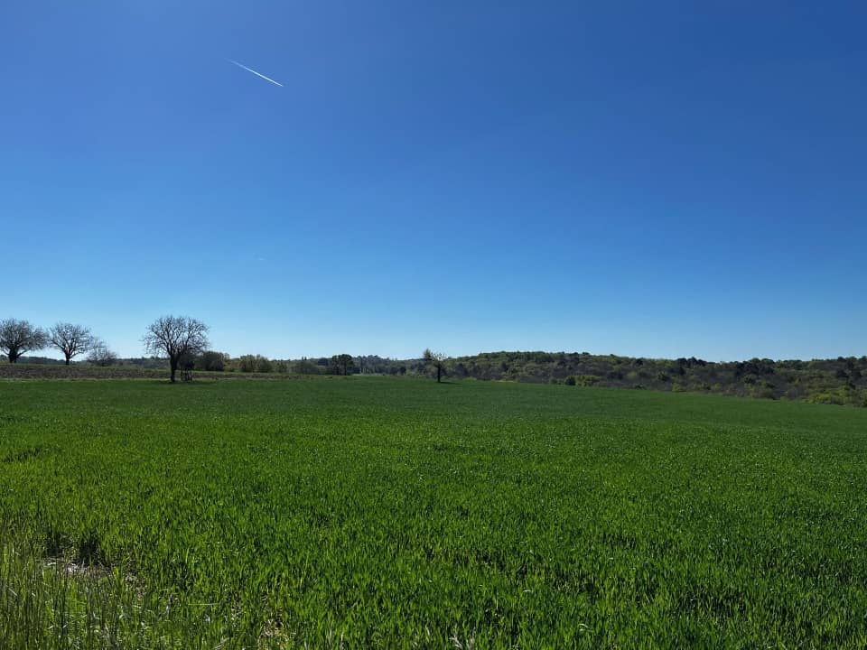 Terrain - Terrain à bâtir Sarlat-la-Canéda (24200) à Sarlat-la-Canéda (24), prix 18 000 €