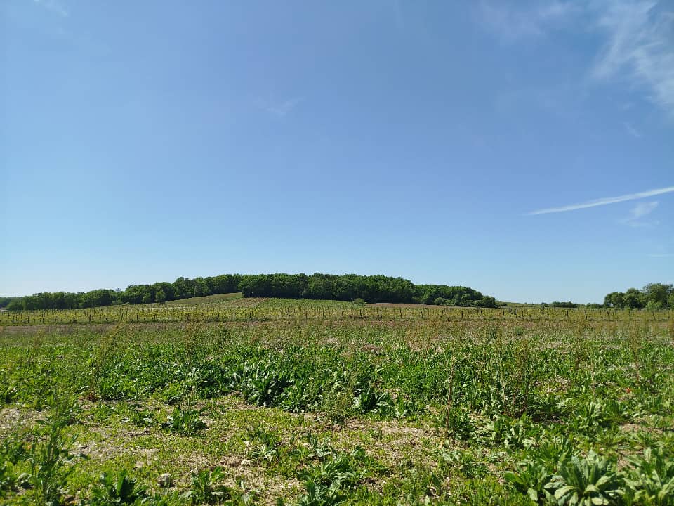 Terrain - Terrain à bâtir Sigoulès-et-Flaugeac (24240) à Sigoulès-et-Flaugeac (24), prix 42 405 €