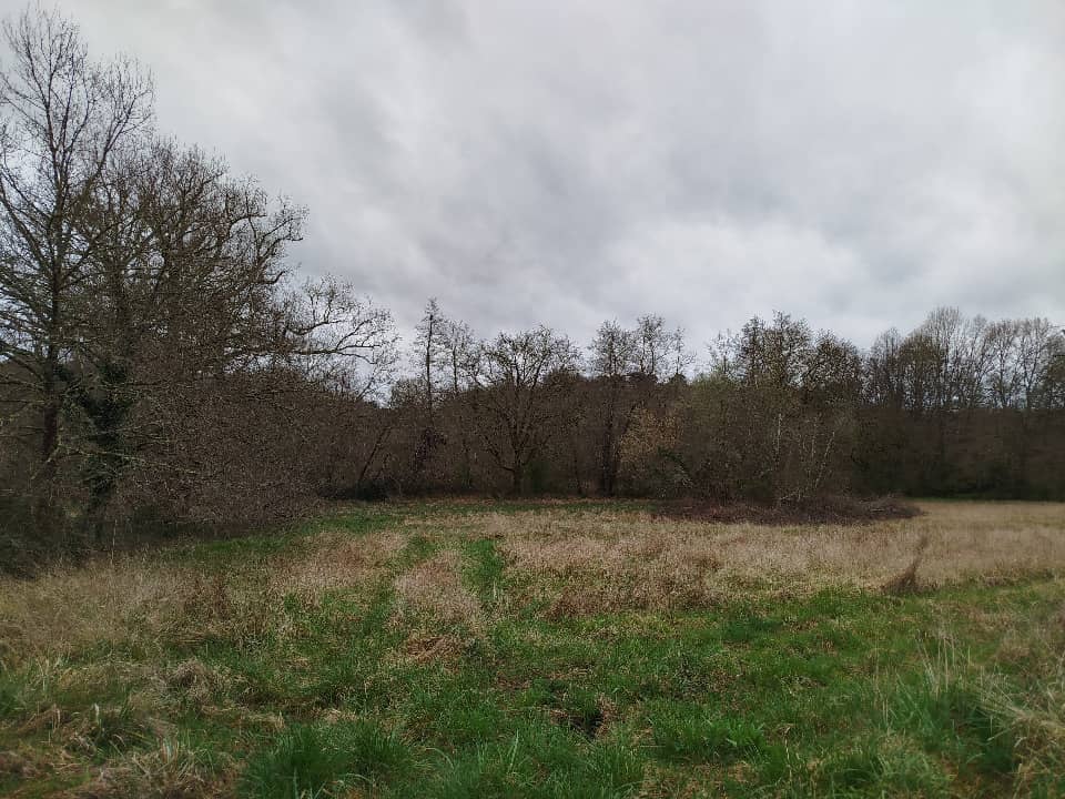 Terrain - Terrain à bâtir Bergerac (24100) à Bergerac (24), prix 50 000 €