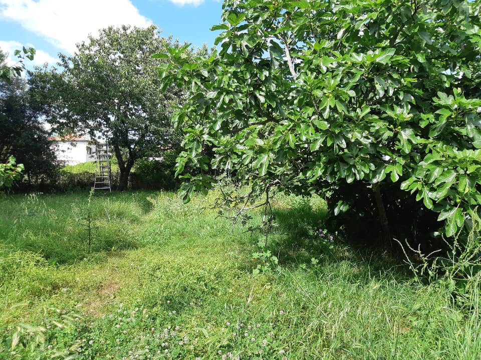 Terrain - Terrain à bâtir Bessières (31660) à Bessières, prix 57 000 €