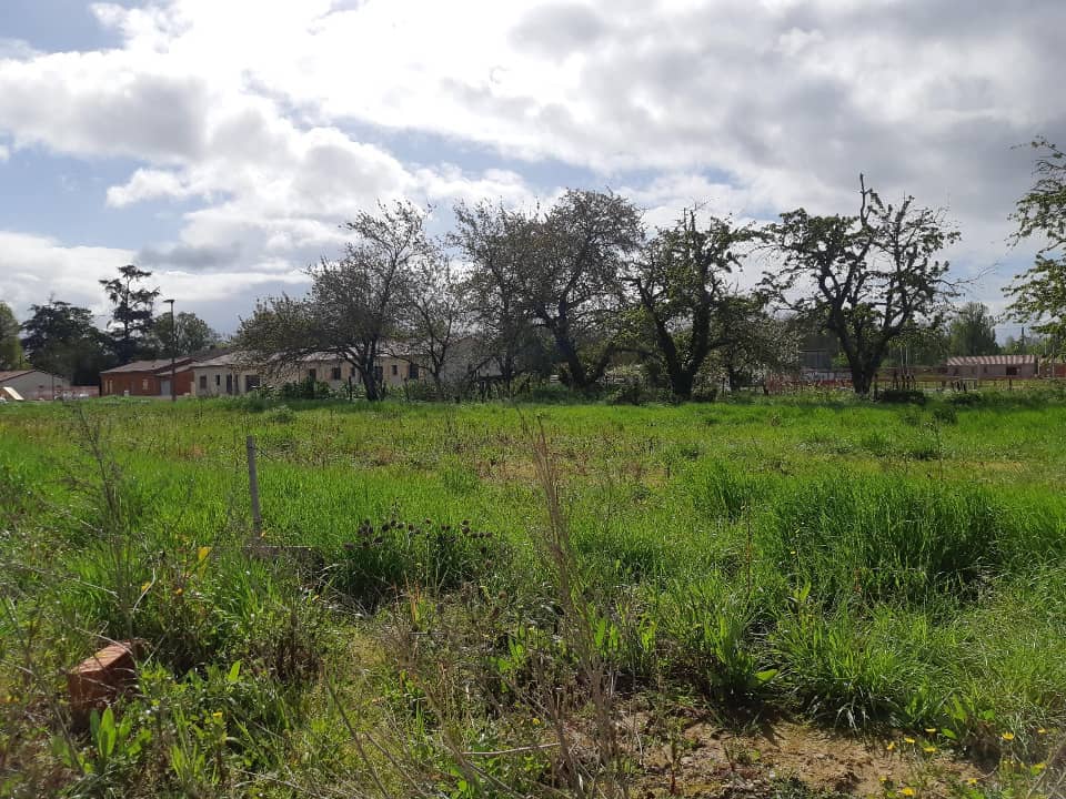 Terrain - Terrain à bâtir Finhan (82700) à Finhan, prix 57 000 €