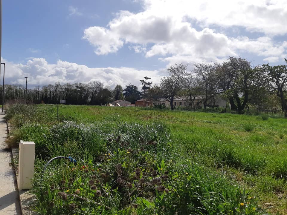 Terrain - Terrain à bâtir Grisolles (82170) à Grisolles, prix 55 000 €