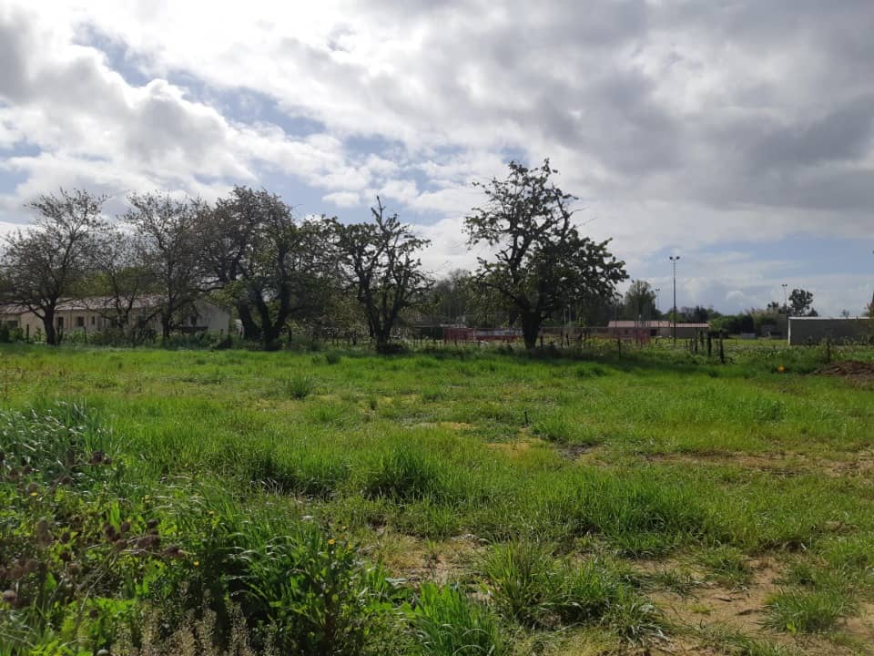 Terrain - Terrain à bâtir Ondes (31330) à Ondes (31), prix 57 000 €