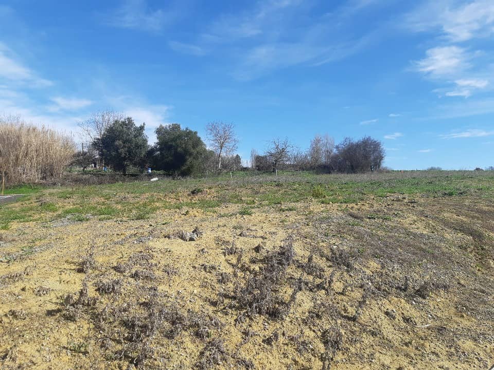 Terrain - Terrain à bâtir Saint-Rustice (31620) à Saint-Rustice (31), prix 125 000 €