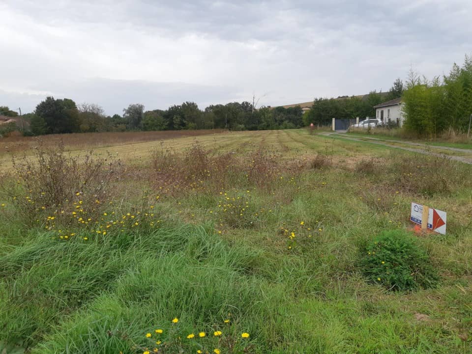 Terrain - Terrain à bâtir Azas (31380) à Azas, prix 94 000 €