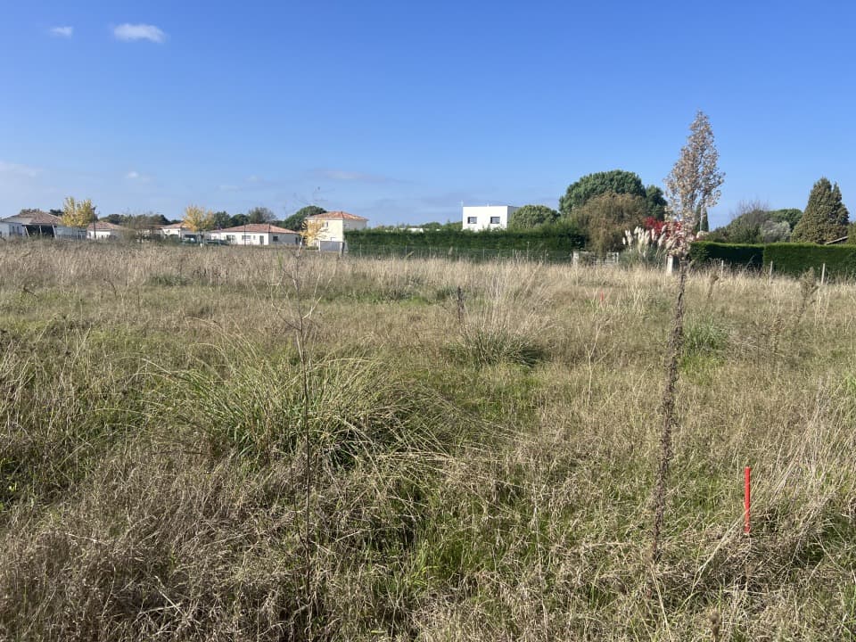 Terrain - Terrain à bâtir Montbeton (82290) à Montbeton (82), prix 76 500 €