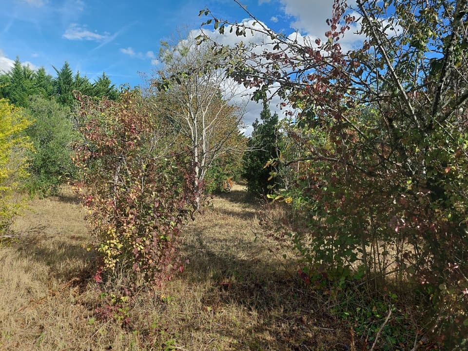 Terrain - Terrain à bâtir Bouloc (31620) à Bouloc (31), prix 99 000 €