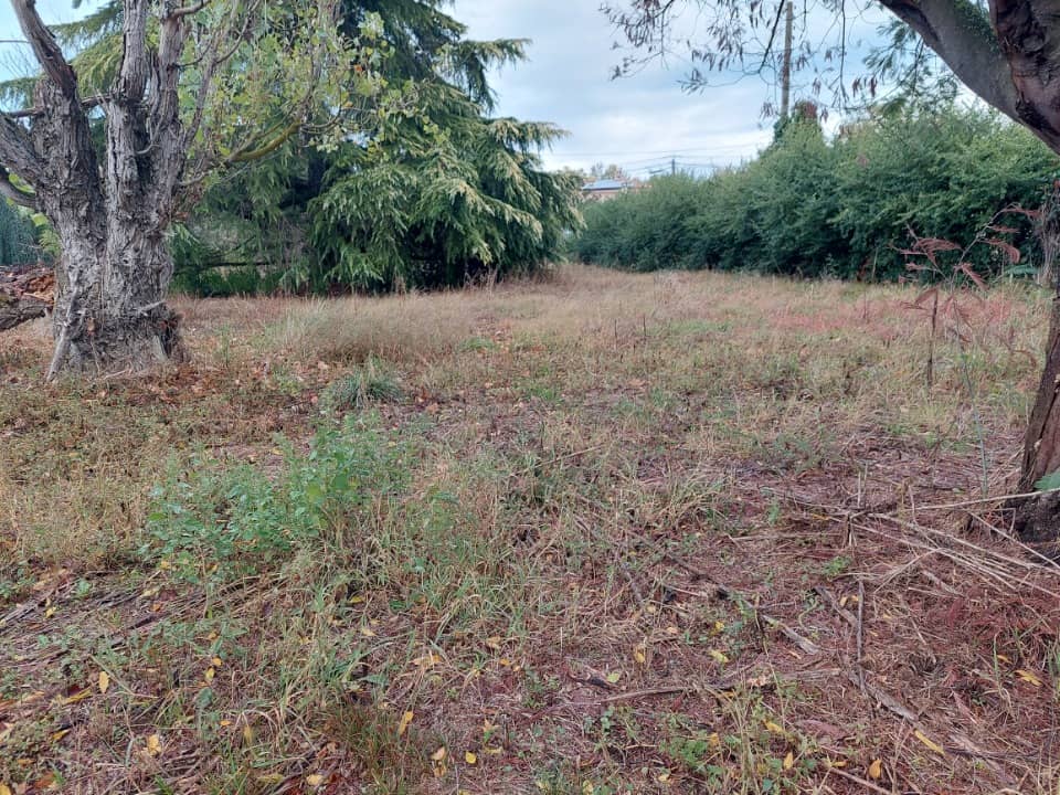 Terrain - Terrain à bâtir Lespinasse (31150) à Lespinasse (31), prix 91 000 €