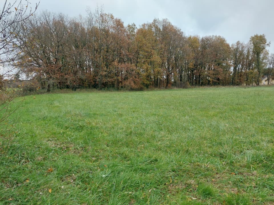 Terrain - Terrain à bâtir Dieupentale (82170) à Dieupentale (82), prix 57 000 €