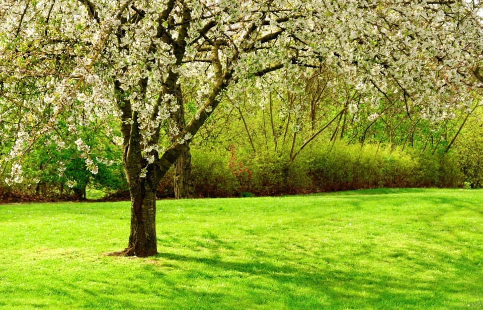 Terrain - Terrain à bâtir Villematier (31340) à Villematier (31), prix 105 000 €