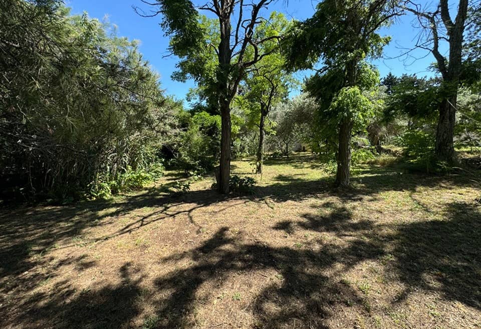 Terrain - Terrain à bâtir Gémil (31380) à Gémil (31), prix 89 000 €