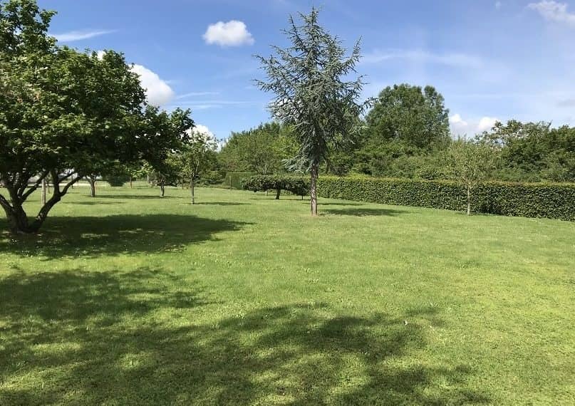 Terrain - Terrain à bâtir Buzet-sur-Tarn (31660) à Buzet-sur-Tarn (31), prix 115 000 €