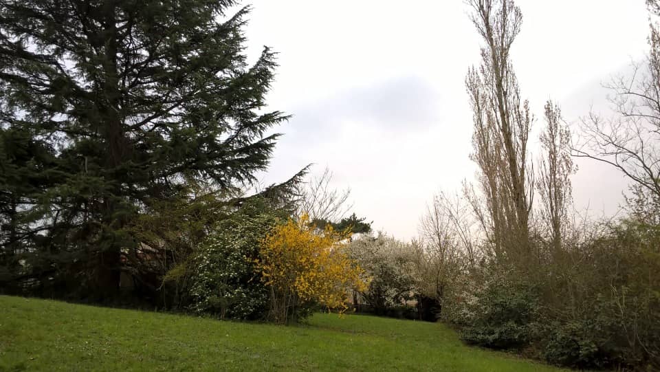 Terrain - Terrain à bâtir Rouffiac-Tolosan (31180) à Rouffiac-Tolosan (31), prix 249 900 €