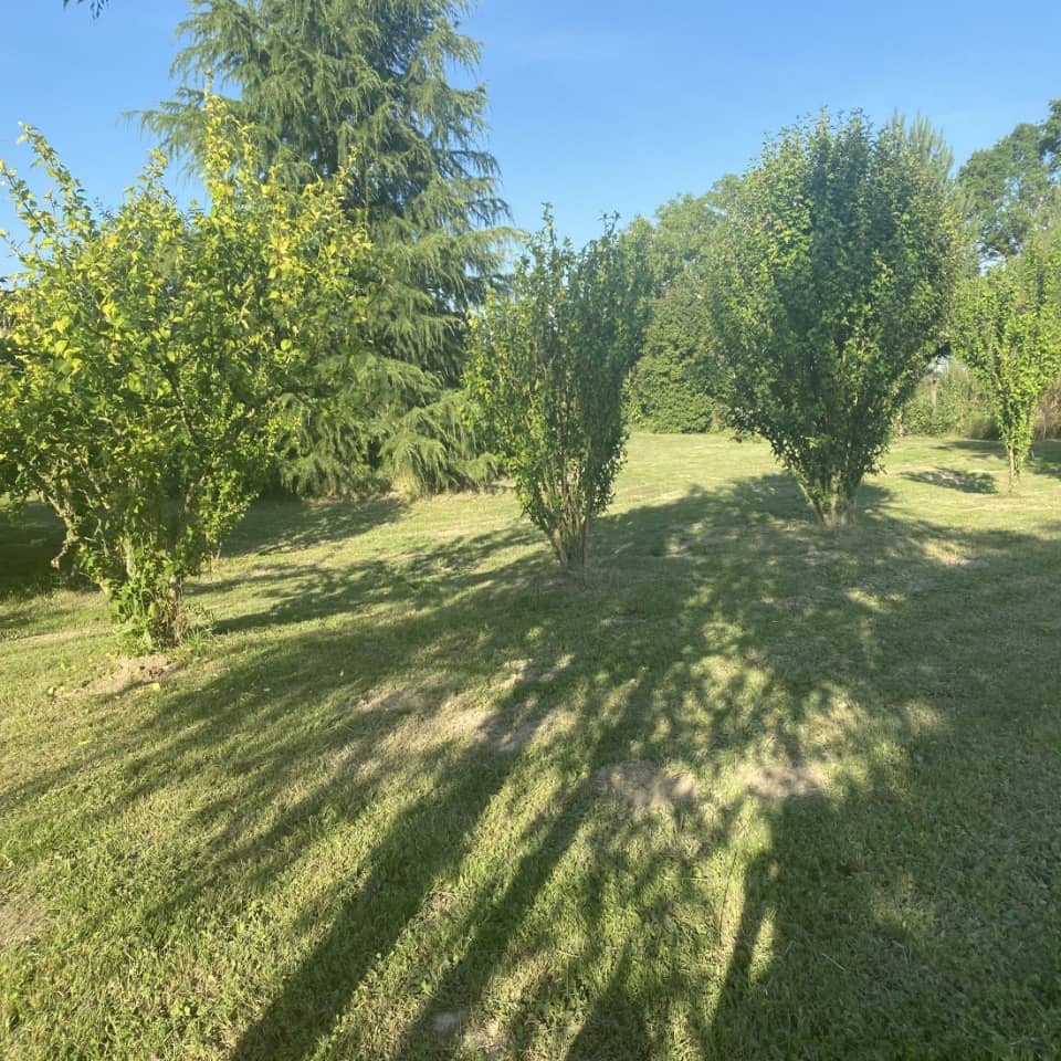 Terrain - Terrain à bâtir Bessières (31660) à Bessières, prix 65 000 €