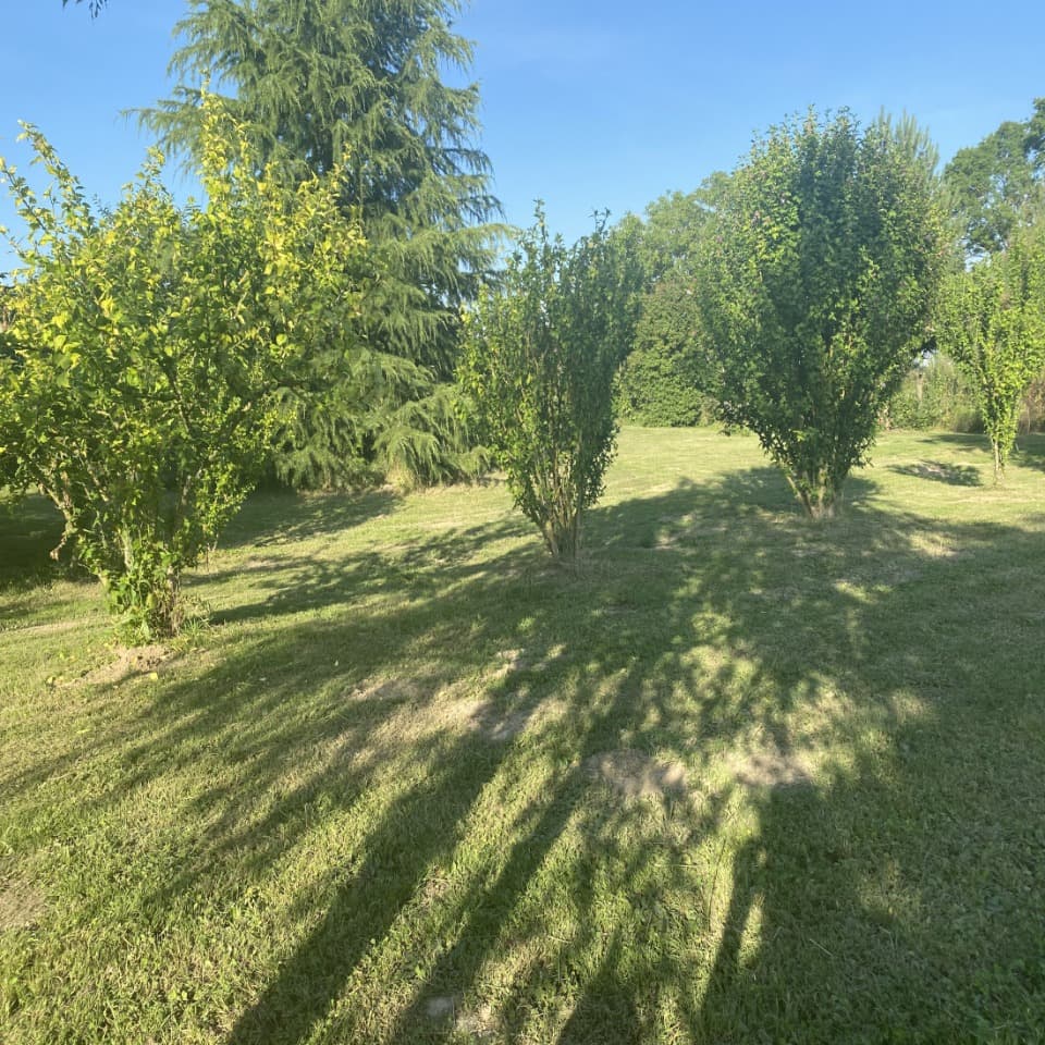 Terrain - Terrain à bâtir Bessières (31660) à Bessières (31), prix 65 000 €