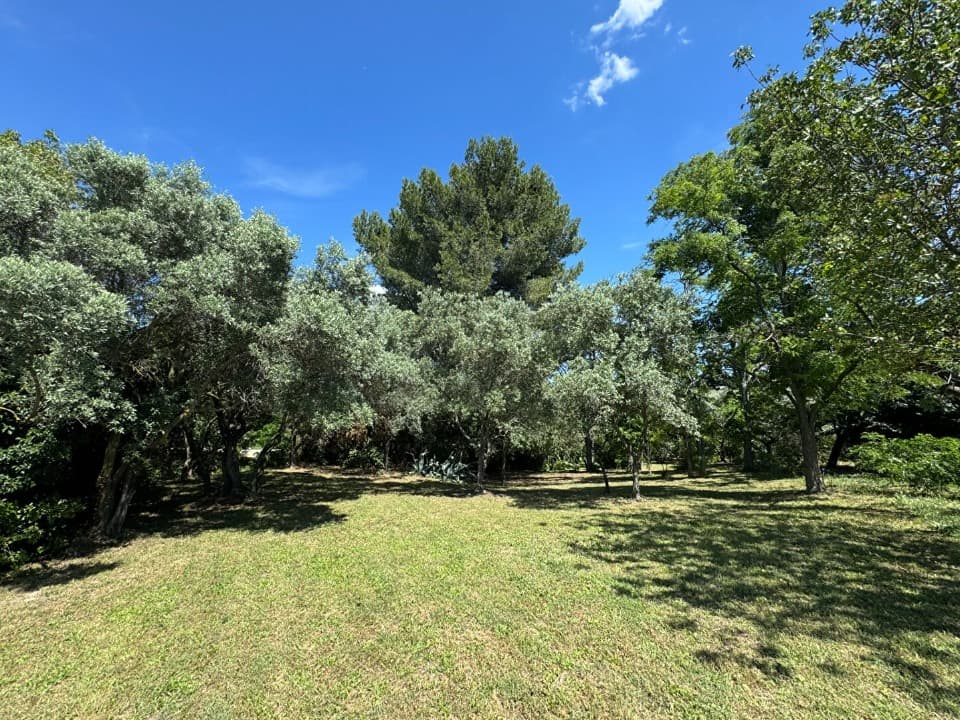 Terrain - Terrain à bâtir Le Born (31340) à Le Born (31), prix 63 000 €