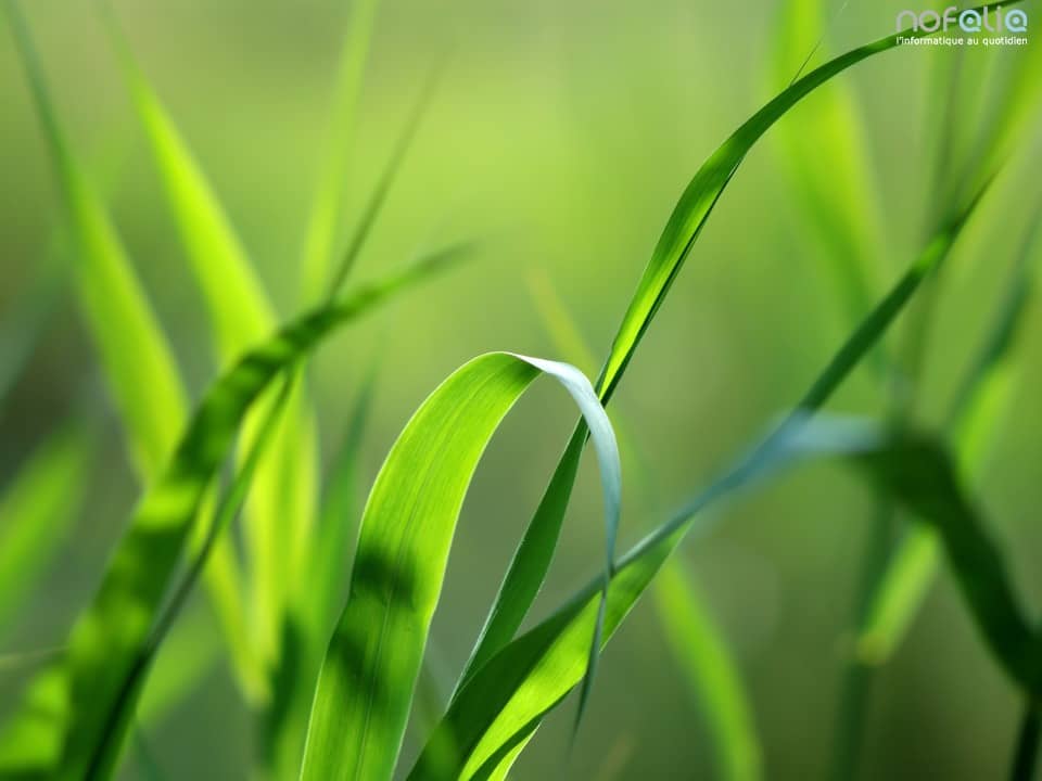 Terrain - Terrain à bâtir Dieppe (76200) à Dieppe (76), prix 59 000 €