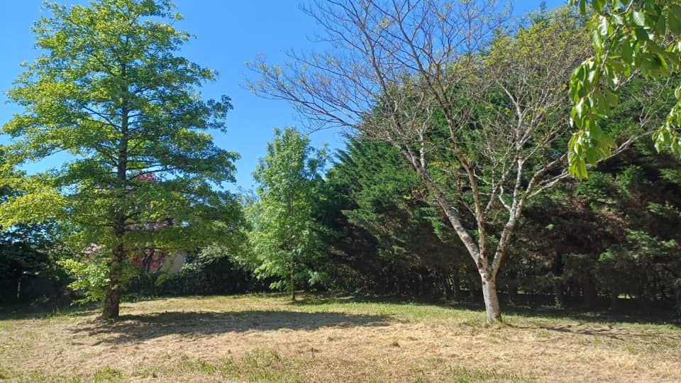 Terrain - Terrain à bâtir Soyaux (16800) à Soyaux, prix 56 500 €