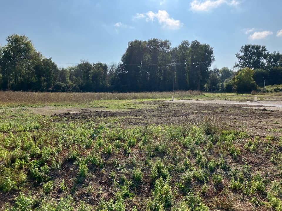 Terrain - Terrain à bâtir Marsac (16570) à Marsac, prix 39 900 €