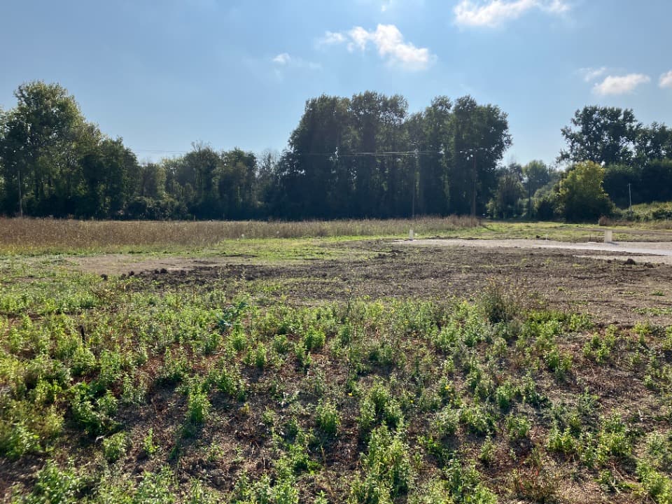 Terrain - Terrain à bâtir Marsac (16570) à Marsac (16), prix 39 900 €