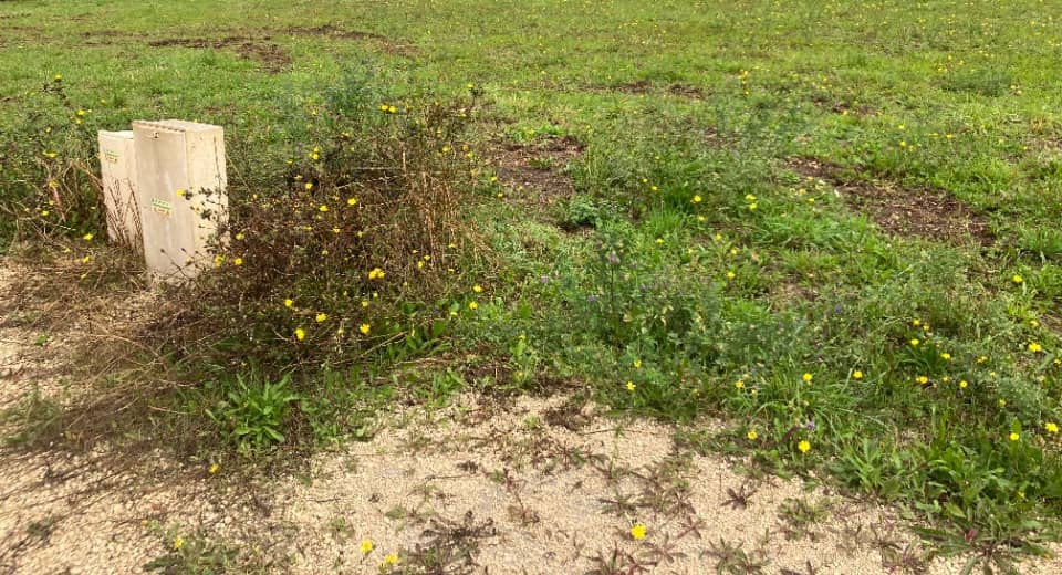 Terrain - Terrain à bâtir Sireuil (16440) à Sireuil (16), prix 41 500 €