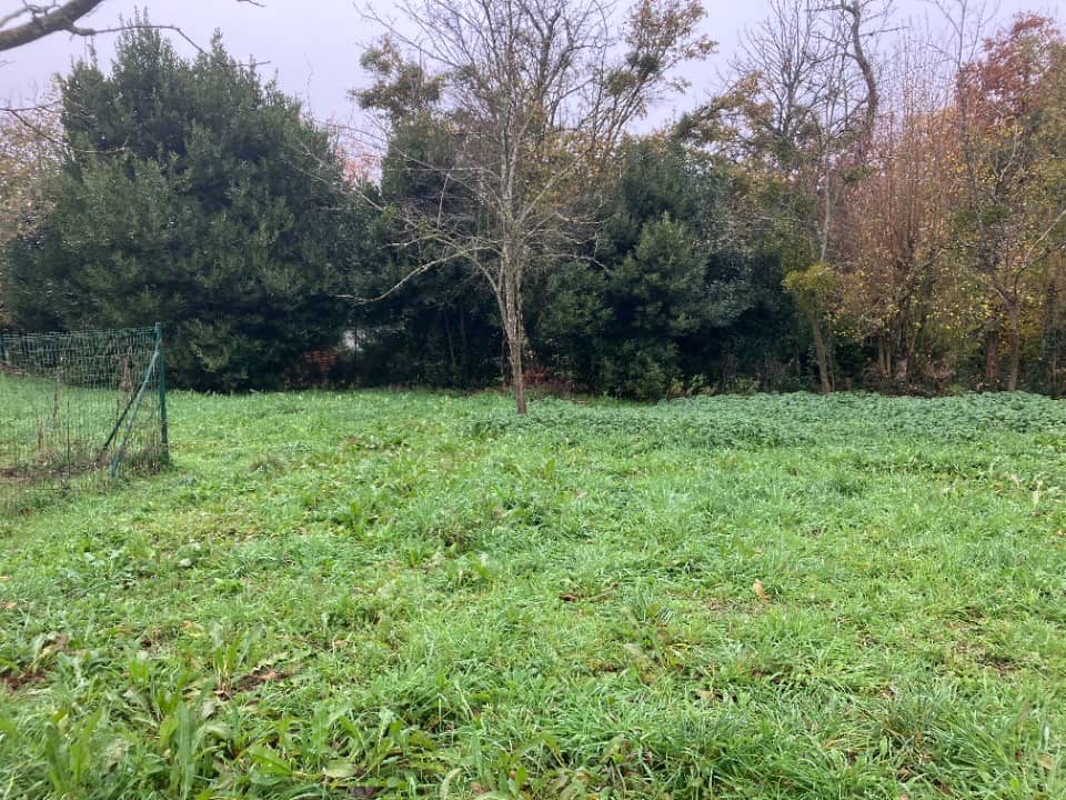 Terrain - Terrain à bâtir Saint-Yrieix-sur-Charente (16710) à Saint-Yrieix-sur-Charente (16), prix 59 000 €